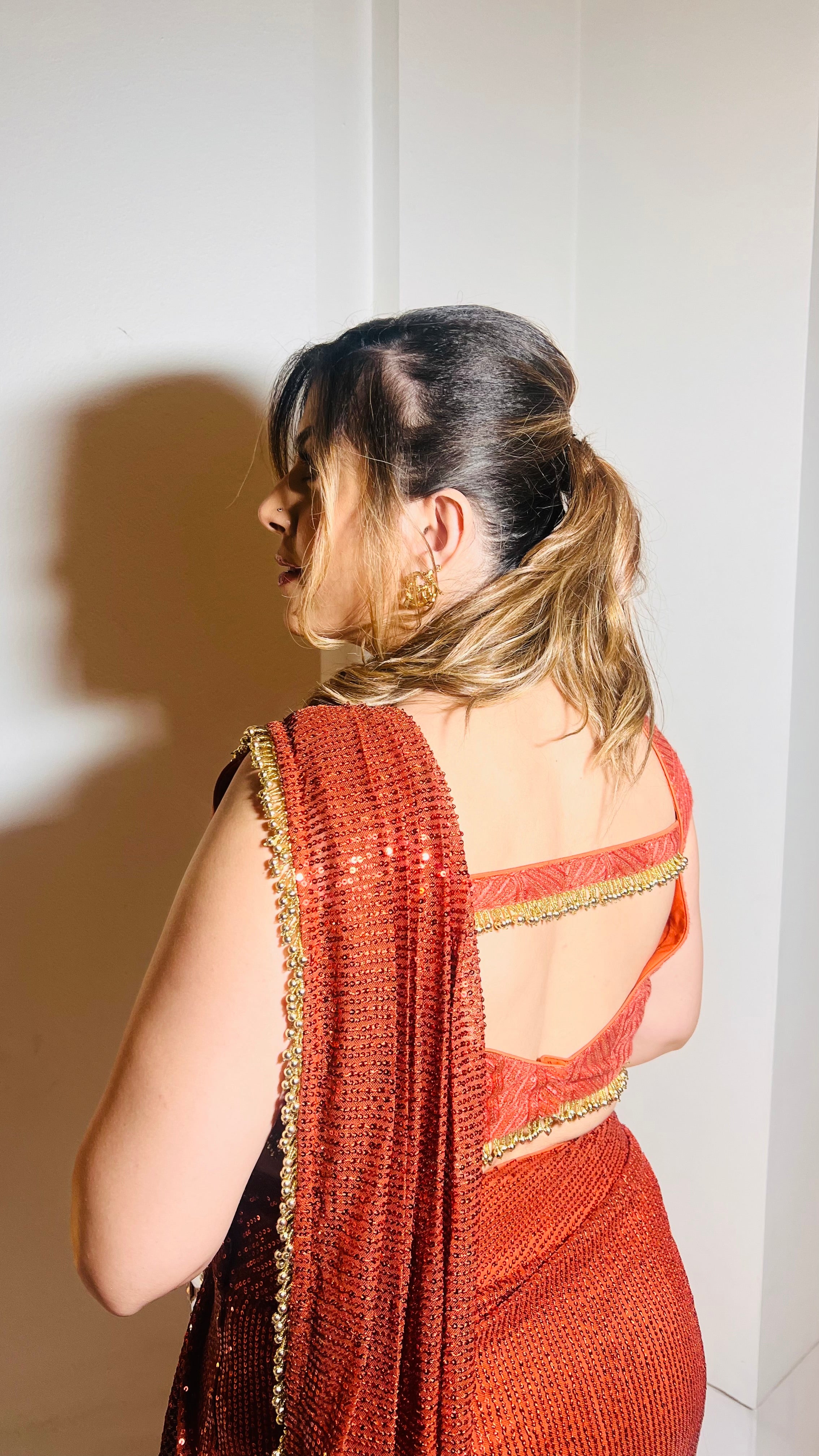 Rust Sequin Saree