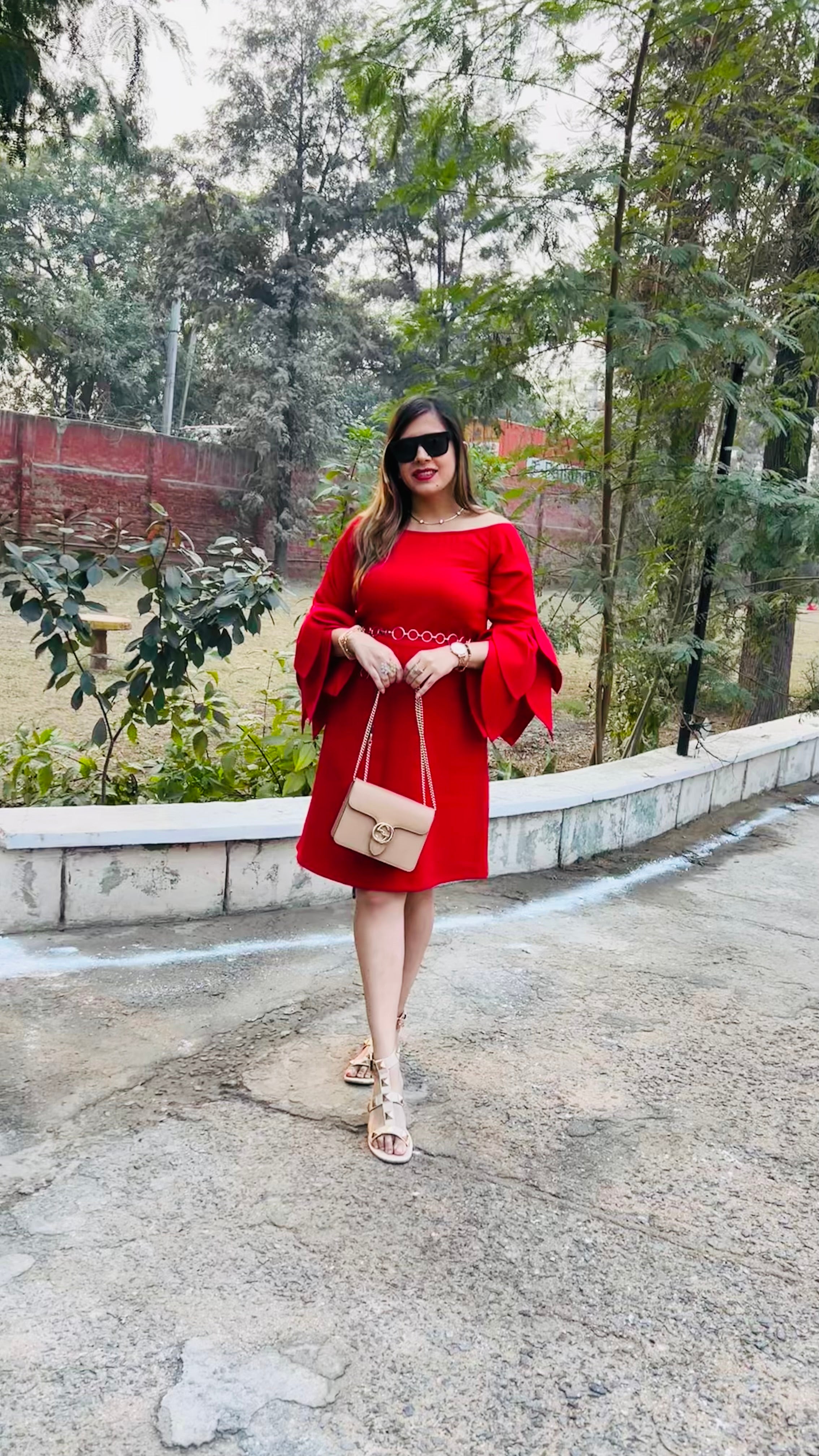 Red Petal Sleeves Dress