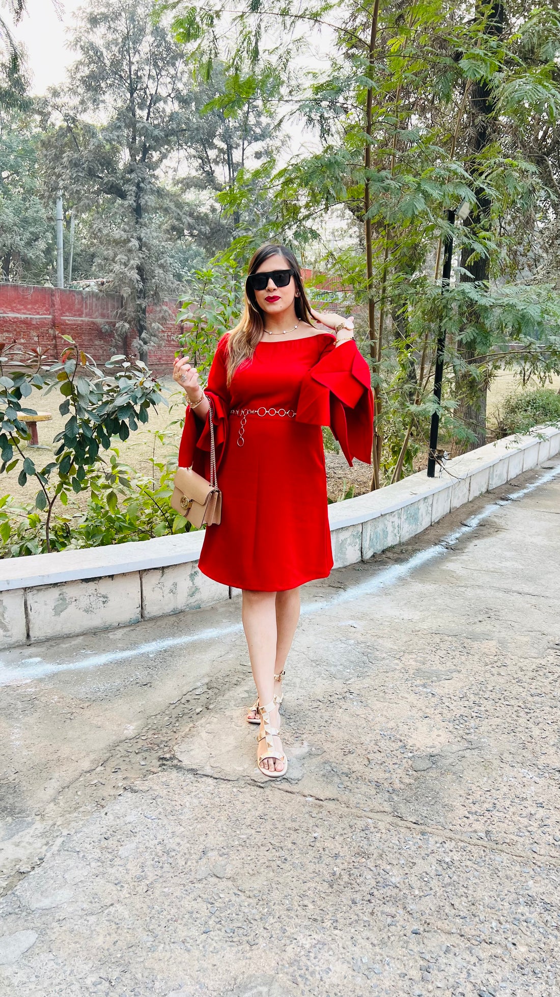 Red Petal Sleeves Dress