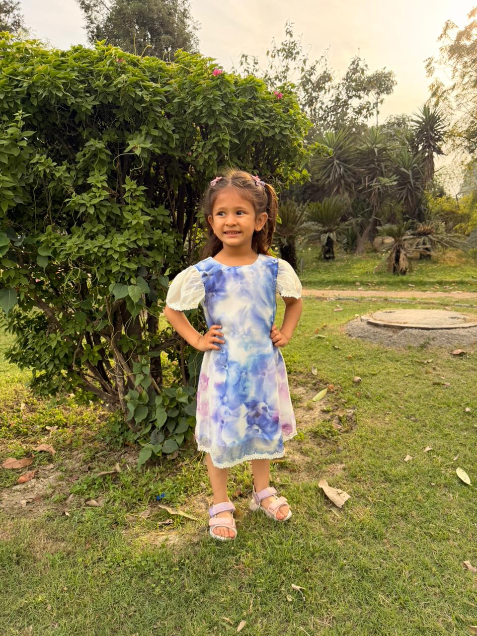 Little Sky Blossom Georgette Dress
