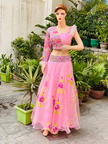 Baby Pink Hand Painted Organza Lehenga