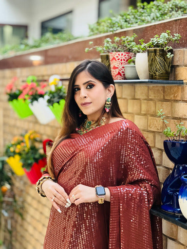 Brown Sequin Saree